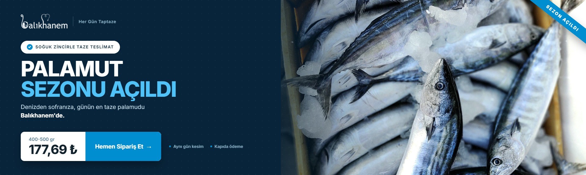 Palamut sezonu açıldı: 400-500 gr 177,69 TL