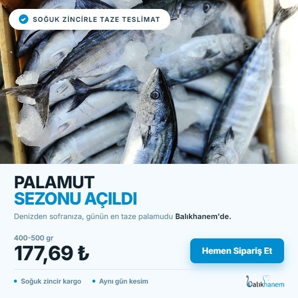 Palamut sezonu açıldı