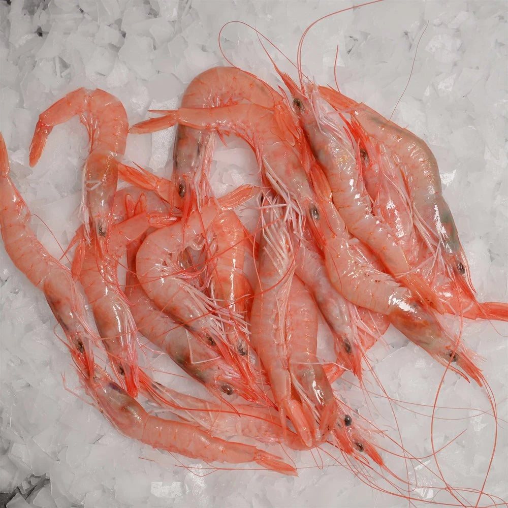 Kırmızı Karides 1 Kg (130-180)