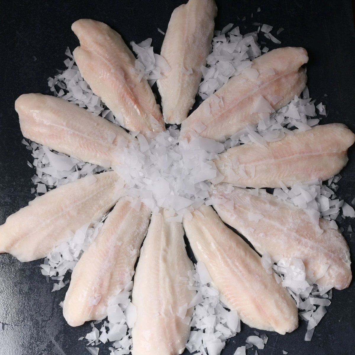 Panga Fileto kg (Dondurulmuş)